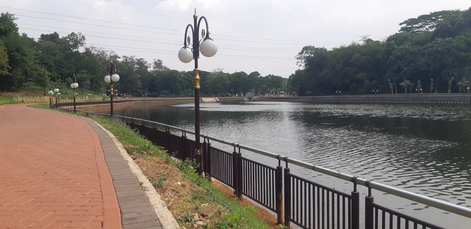 Dinas SDA DKI  Jakarta Bisa Belajar Cara Buat Waduk ke Pengelola Taman Margasatwa Ragunan2