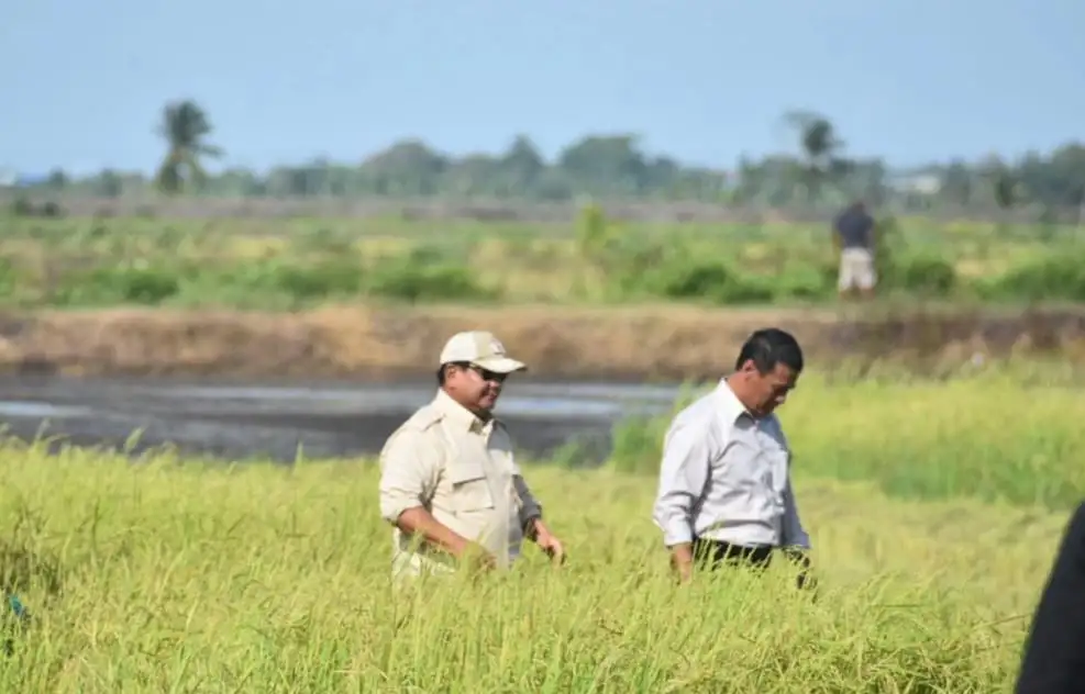 Prabowo Cek Lumbung Pangan Nasional di Merauke5