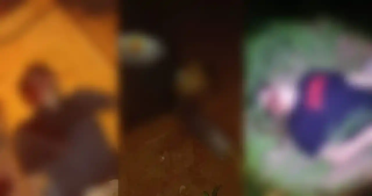 Tiga anggota kepolisian tewas akibat luka tembak saat menggerebek arena judi sabung ayam di Kampung Karang Manik, Kecamatan Negara Batin, Kabupaten Way Kanan, Lampung, Senin (17/3/2025) sore.