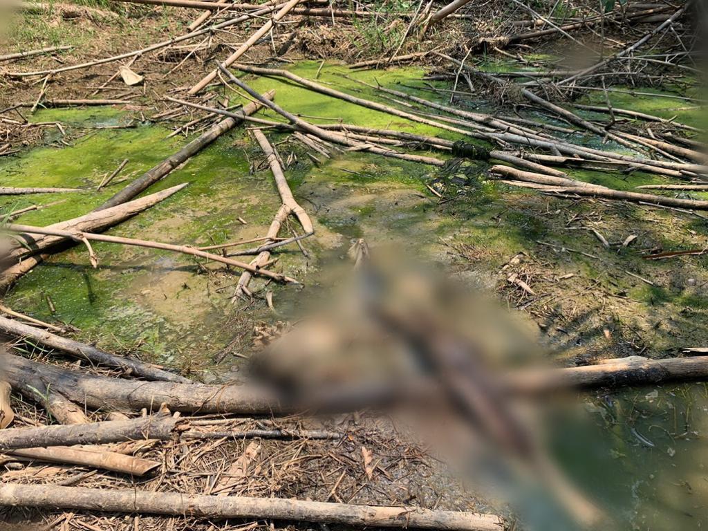 Penemuan kerangka manusia di Jasinga, Bogor. [Foto: Ist]