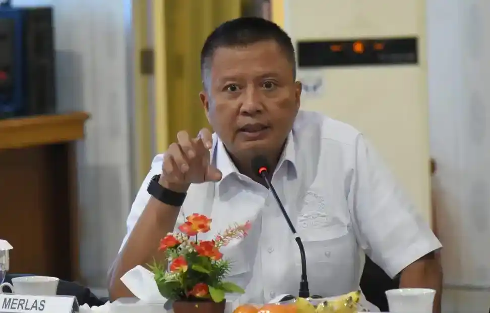 Anggota Komisi XI DPR RI dari Fraksi PKB, Bertu Merlas (Dok. MI)