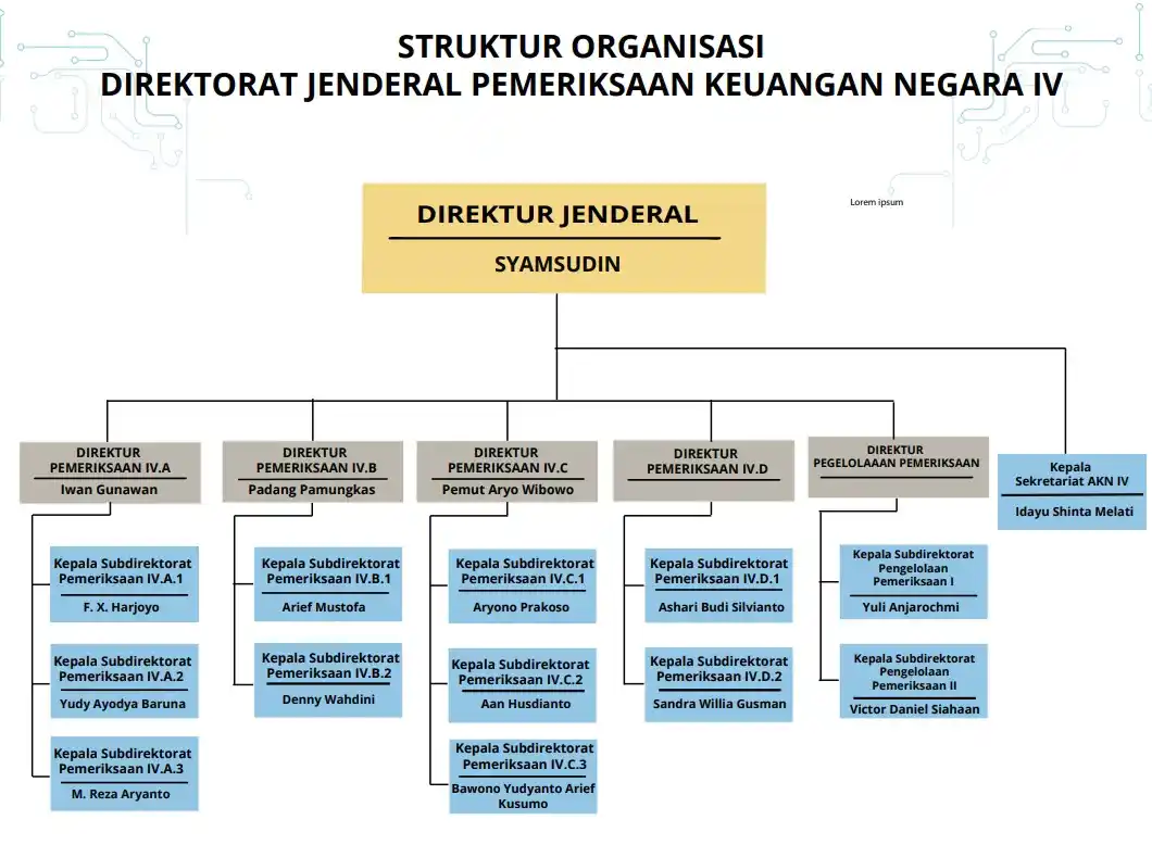 Struktur Organisasi Dirjen Pemeriksaan Keuangan Negara IV pada Badan Pemeriksa Keuangan (BPK) (Foto: Dok MI/BPK RI)