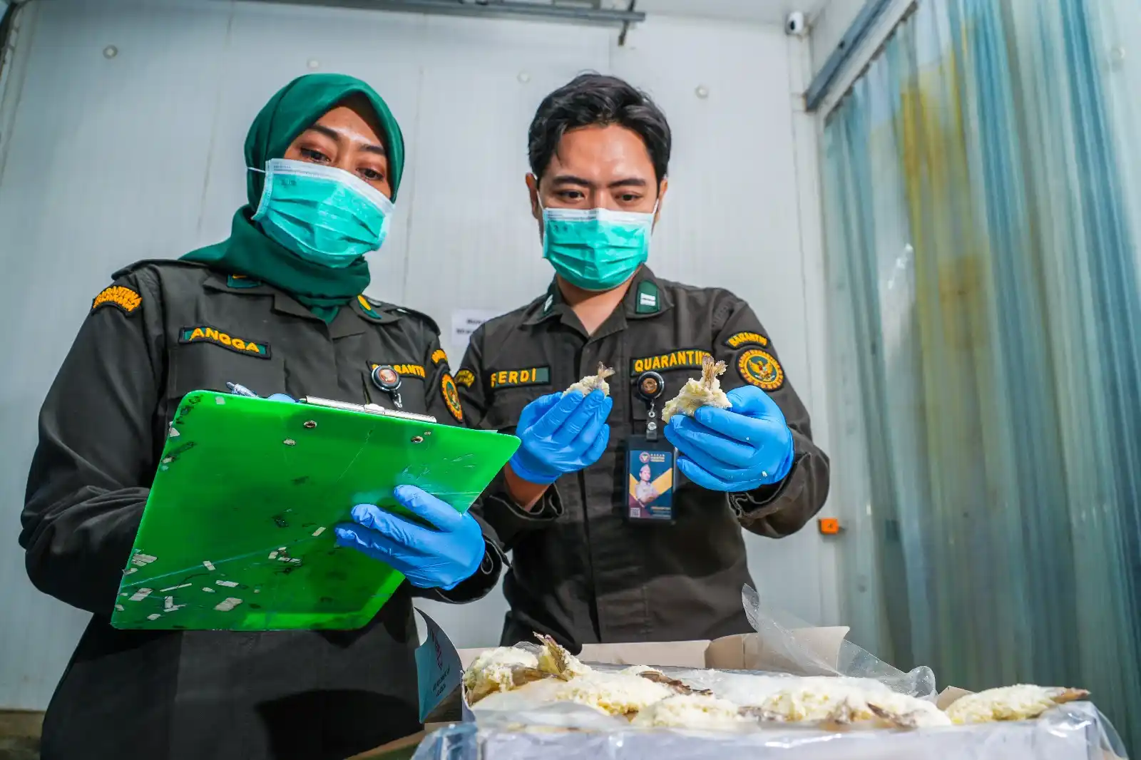 Badan Karantina Indonesia saat meneliti barang yang masuk (Dok. MI)