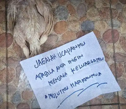 Bangkai Ayam dan Pesan Teror yang Diterima Aktivis Greenpeace (Foto: Instagram)