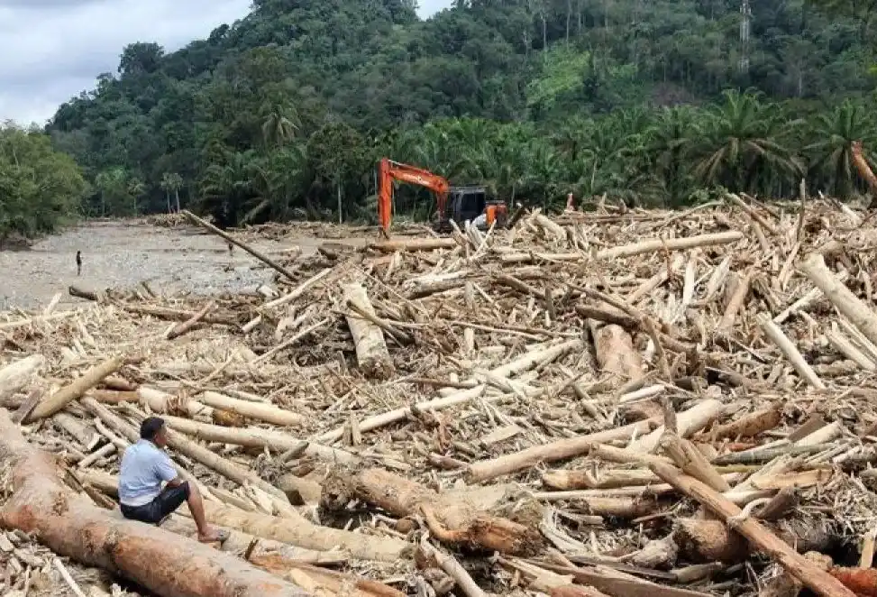 Warga mengamati sampah kayu gelondongan pascabanjir bandang di Desa Aek Garoga, Kecamatan Batang Toru, Kabupaten Tapanuli Selatan, Sumatera Utara, Sabtu (29/11/2025).