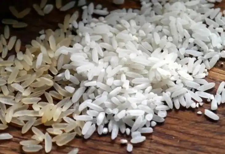 Ilustrasi - Beras Oplosan (Foto: Dok MI/Istimewa)