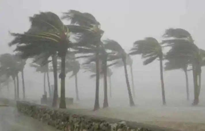 BMKG Ungkap Potensi Siklon Tropis saat Nataru 2026 (Foto: Ist)