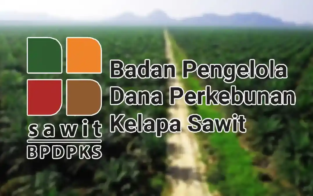 Sejak tahun 2023, Kejagung meluncurkan penyidikan kasus tindak pidana korupsi terhadap lembaga dana kelapa sawit negara arau BPDPKS, yang mengawasi pengumpulan dan distribusi pajak ekspor komoditas tersebut. Pengusutan tersebut meliputi periode waktu dari 2015 hingga 2022. Hingga saat ini belum jelas siapa tersangkanya (Foto: Dok MI/Net/Ist)