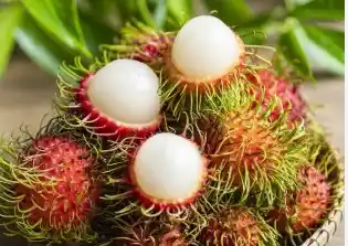 Manfaat Buah Rambutan (Foto: Ist)