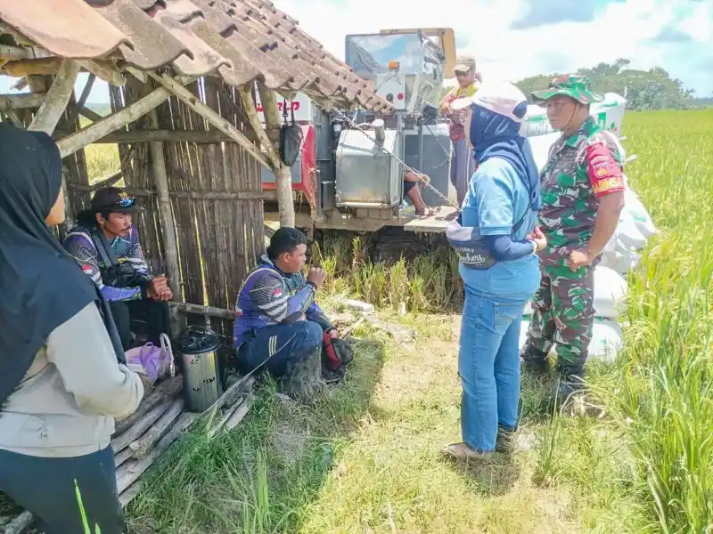 Bulog serap beras petani di desa (Dok.MI)