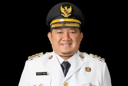 Bupati Penajam Paser Utara Mudyat Noor (Foto: Wikipedia)