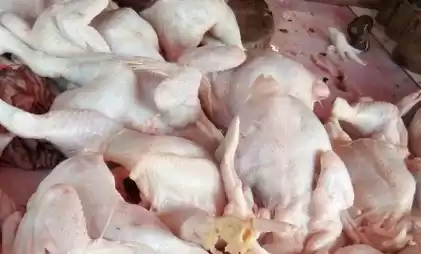 Daging Ayam (Foto: Ist)