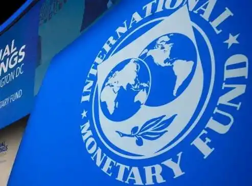Dana Moneter Internasional (IMF) (Foto: Ist)