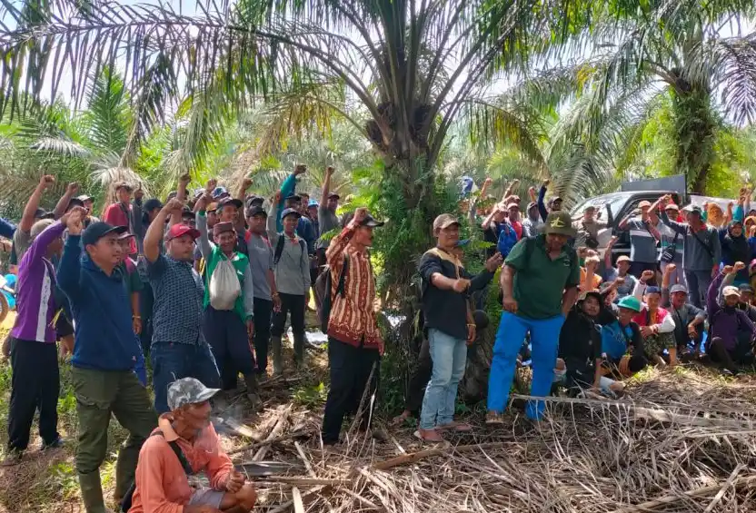 Aksi pendudukan lahan yang dilakukan warga transmigrasi SP IV Gambutjaya, Sungaigelam, Kabupaten Muarojambi, Provinsi Jambi di lahan perusahaan sawit, baru-baru ini. (Foto :WalhiJambi).