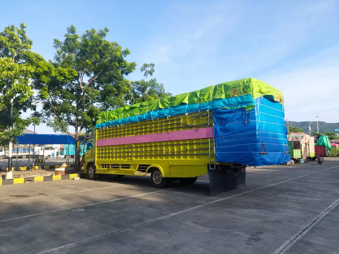 Truk ODOL (Foto: Ist)