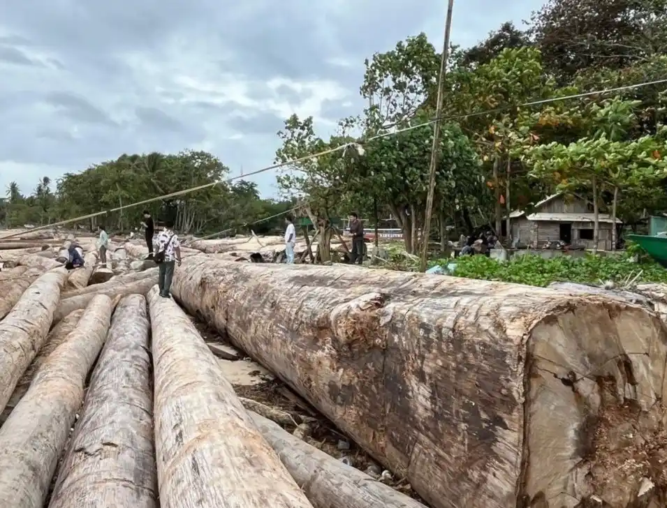 Illustrasi (Foto: Istimewa)