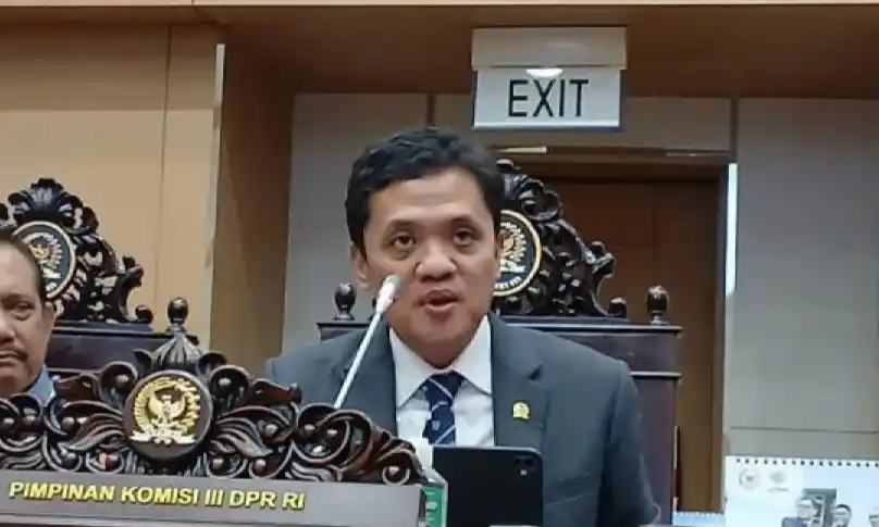 Ketua Komisi III DPR Habiburokhman (Foto: Istimewa)