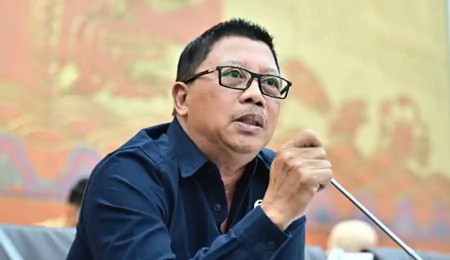Anggota Komisi VI DPR RI, I Nengah Senantara