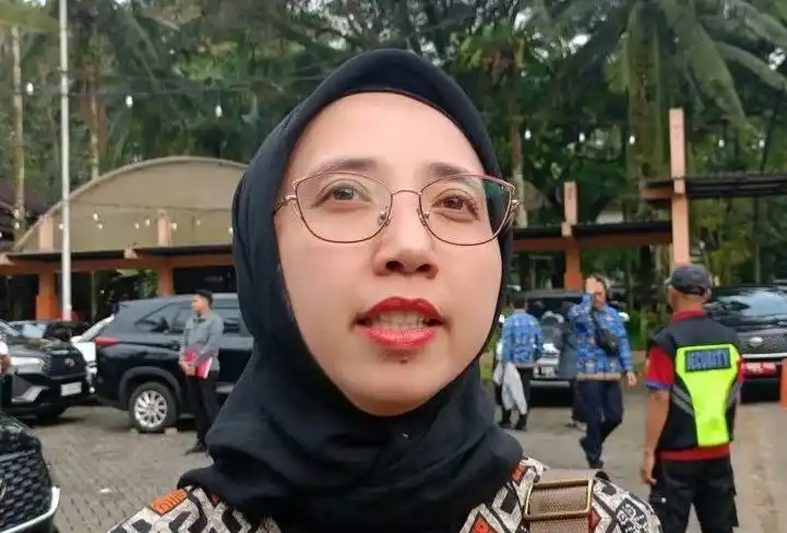 Pelaksana Tugas (Plt) Kepala Dinas Sumber Daya Air (SDA) DKI Jakarta Ika Agustin Ningrum.