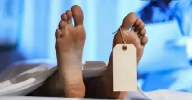 Illustrasi (Foto: Istimewa)