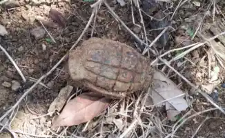 Ilustrasi [Foto: Ist]