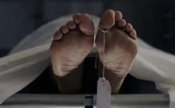 Ilustrasi [Foto: Ist]