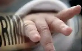 Ilustrasi - Jasad Bayi 5 tahun tewas diterkam buaya di Palangkaraya (Foto: Ist)