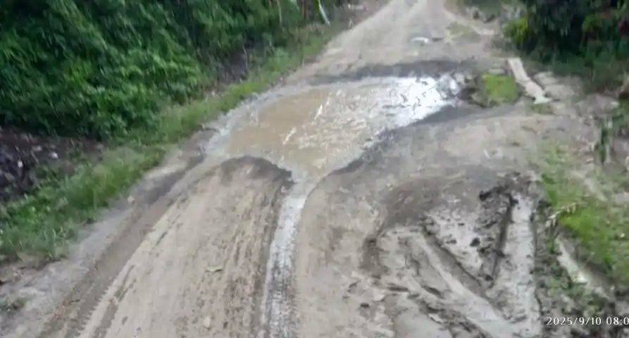 Kondisi kritis kerusakan jalan pesisir Danau Toba dari Dusun Hutaimbaru – Simpang Bage, Desa Ujungmariah, Kecamatan Pamatangsilimahuta, Kabupaten Simalungun, Provinsi Sumatera Utara. Gambar diambil Rabu (10/9/2025). (Foto : Ist).