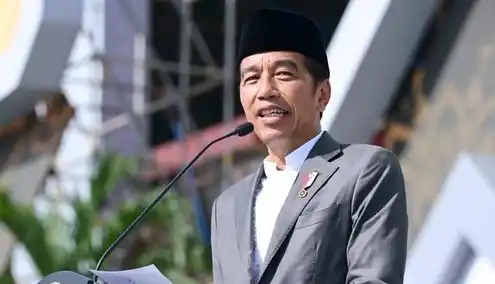 Joko Widodo (Foto: Istimewa)
