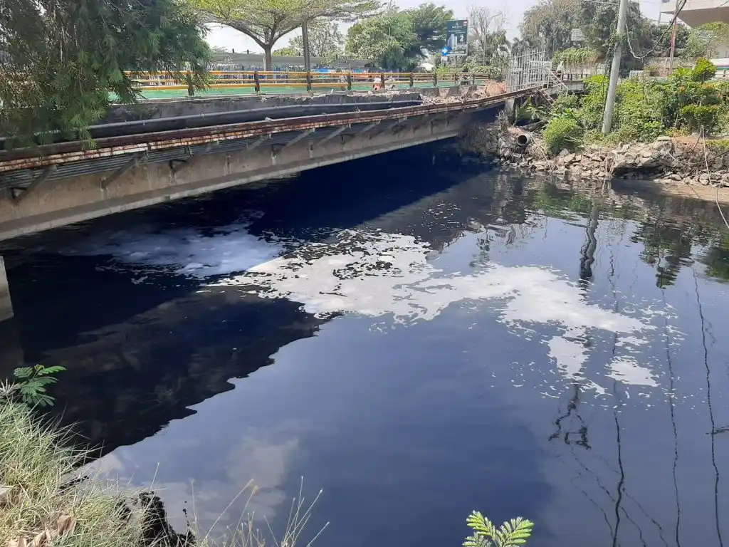 Kali Bekasi Tercemar Limbah Laundry dari Kali Cilengsi (Foto/MI)