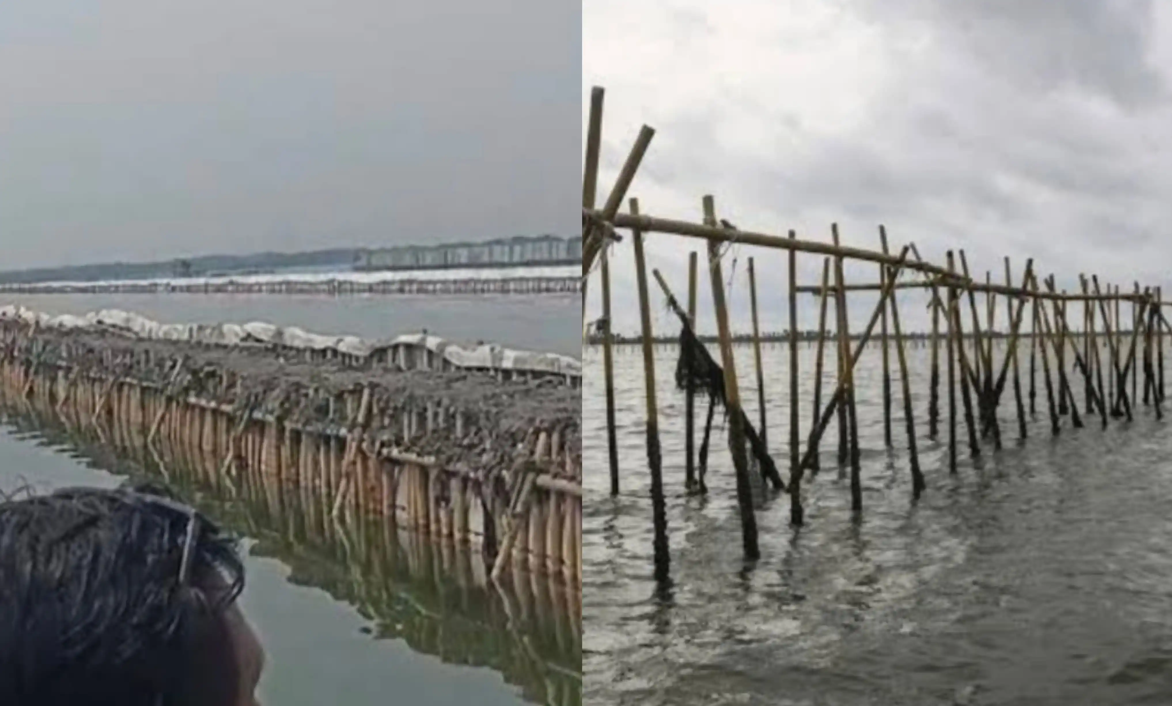 Pagar Laut Bekasi (kiri) dan Pagar Laut Tangerang (kanan) (Foto: Kolase MI)