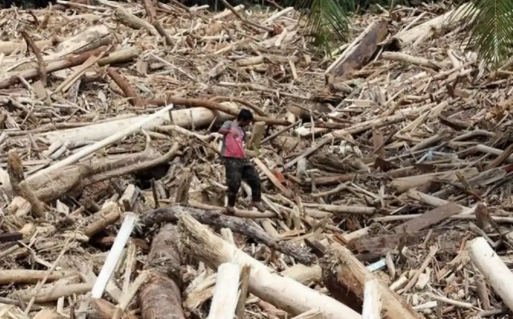 Warga berjalan di atas sampah kayu gelondongan pascabanjir bandang di Desa Aek Garoga, Kecamatan Batang Toru, Kabupaten Tapanuli Selatan, Sumatera Utara, Sabtu (29/11/2025) (Foto: Dok MI/Antara)