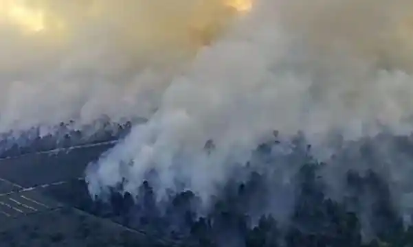 Kebakaran hutan dan lahan (karhutla) (Foto: Ist)