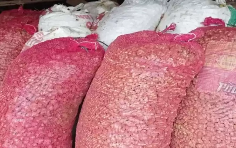 Harga kencur di Kabupaten Lebak naik. (Foto: Antara)