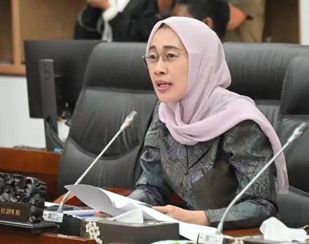Ketua Komisi VI DPR RI, Anggia Ermarini (Foto: DPR RI)