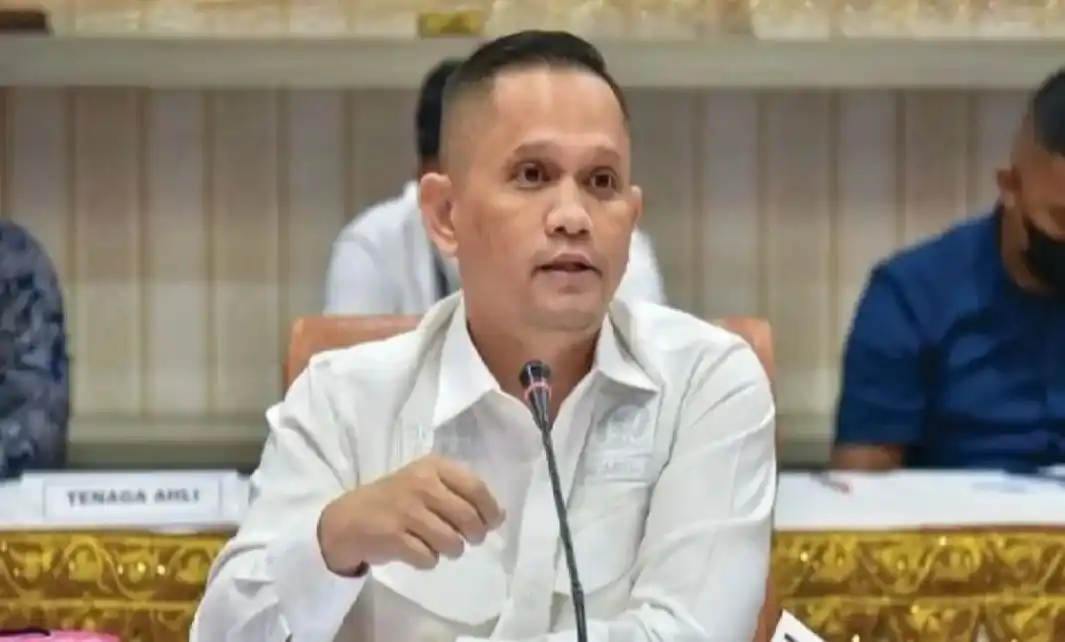 Ketua Mahkamah Kehormatan Dewan (MKD) DPR RI Nazaruddin Dek Gam (Foto: Istimewa)