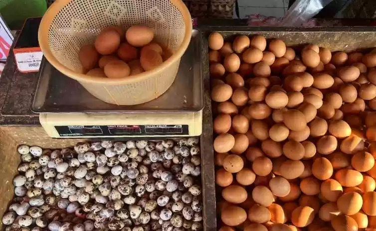 Harga Telur Ayam Ras dalam Sepekan Ini Tercatat Mengalami Penurunan Rp560 Menjadi Rp30.810 Per Kilogram (Foto: Dok MI)