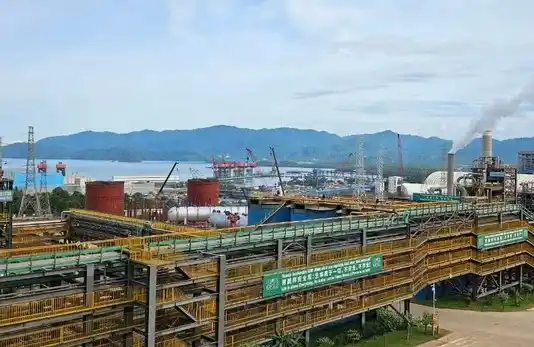 Kawasan PT Indonesia Morowali Industrial Park (IMIP) (Foto: Istimewa)