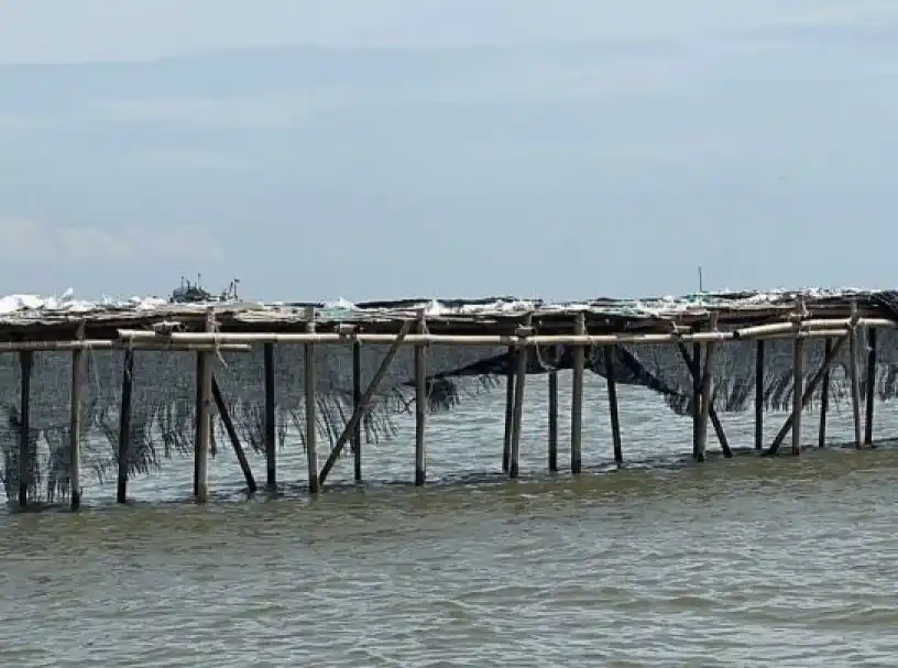 Pagar dari bambu sepanjang 30,16 kilometer di wilayah perairan Kabupaten Tangerang, Banten (Foto: Dok MI/Aswan)