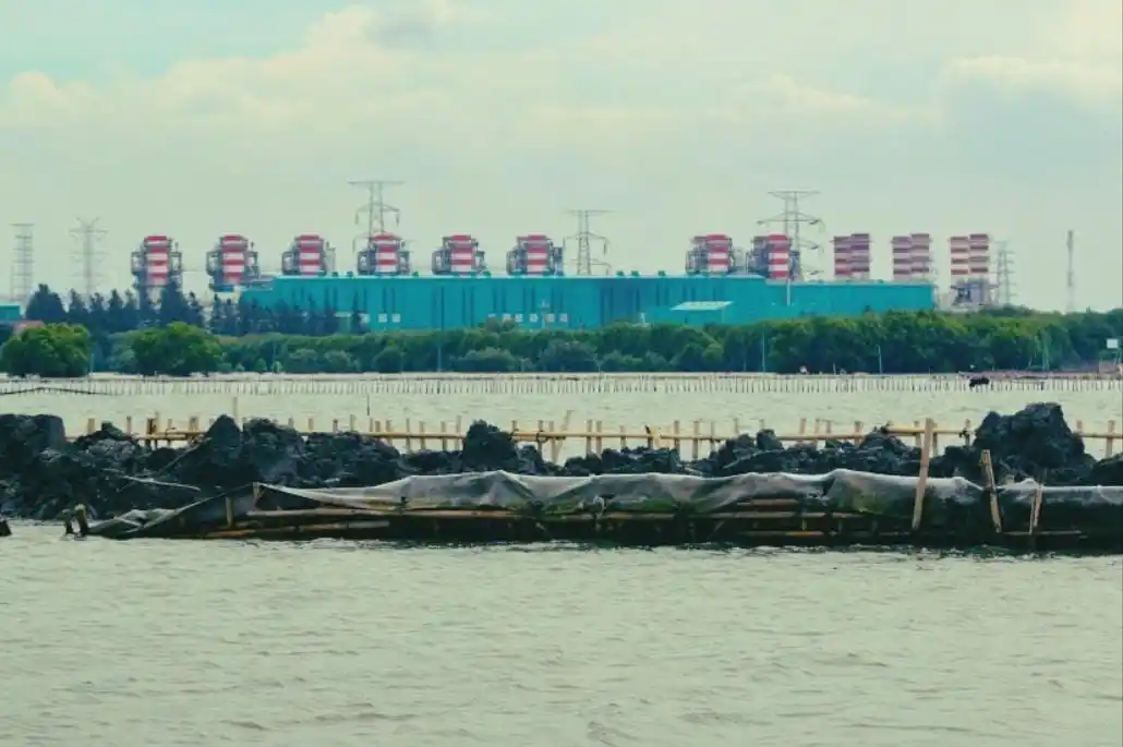 Pagar dari bambu sepanjang 30,16 kilometer di wilayah perairan Kabupaten Tangerang, Banten (Foto: Dok MI/Istimewa)