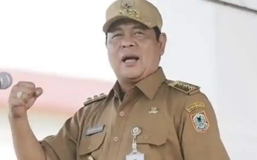 Gubernur Kalsel Sahbirin Noor (Foto: Istimewa)