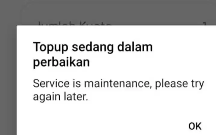 Laman e-materai untuk CPNS yang sempat mengalami eror. (Foto: Antara)