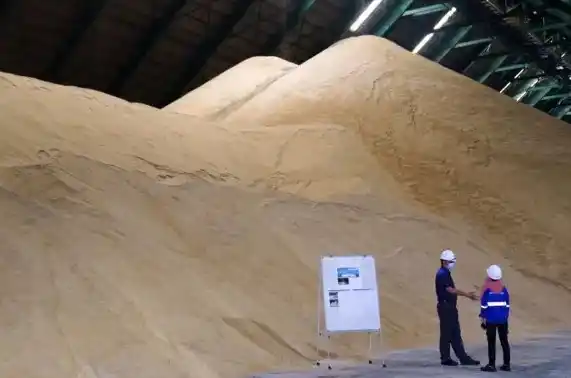 Ilustrasi - Gudang gula mentah (Foto: Getty Images)