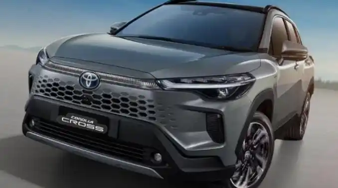 Ilustrasi (Foto: Ist)