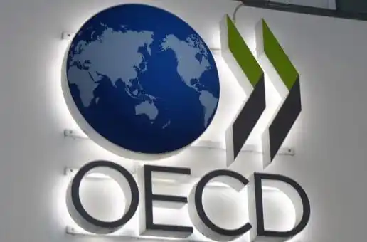OECD Prediksi Ekonomi RI Tumbuh 4,9% pada Periode 2025 hingga 2026 (Foto: Ist)