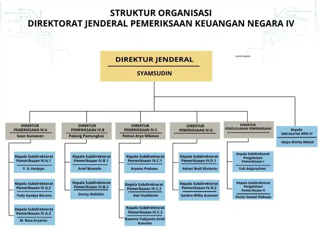 Struktur Organisasi Dirjen Pemeriksaan Keuangan Negara IV pada Badan Pemeriksa Keuangan (BPK) (Foto: Dok MI/BPK RI)