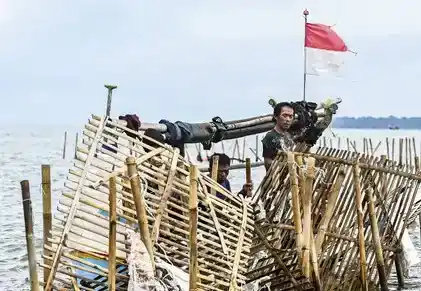 Pembongkaran pagar laut 30,16 km (Foto: Dok MI)