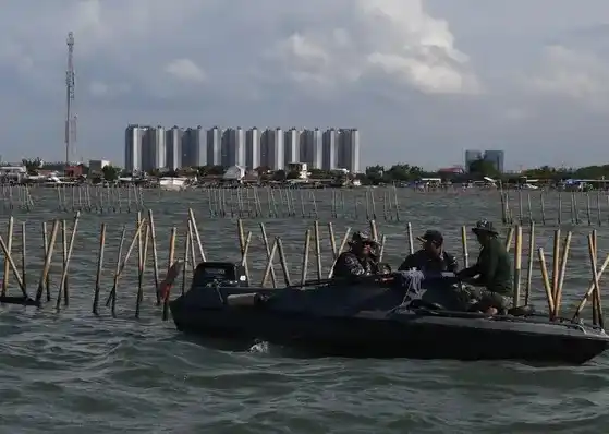 Pagar laut sepanjang 30,16 kilometer di pesisir utara Kabupaten Tangerang saat dibongkar TNI AL (Foto: Dok MI)