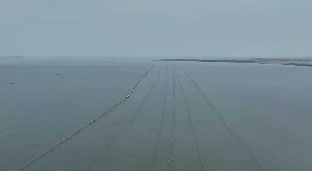 Pagar Laut 30 Km di Tangerang [Foto: Repro]