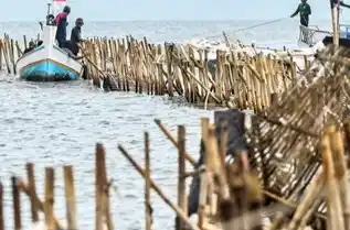 Pembongkaran pagar laut (Foto: Dok MI)